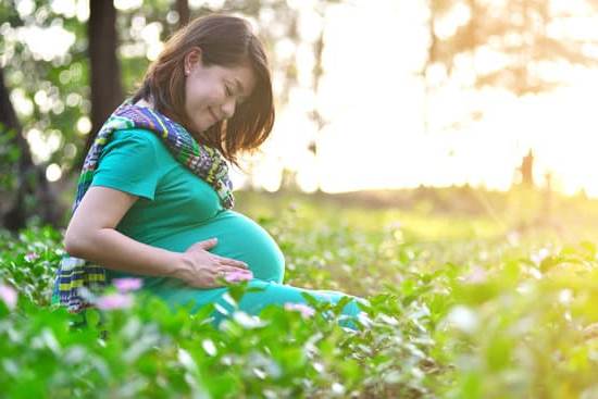 Clear description of early symptoms and changes confirming signs of pregnancy