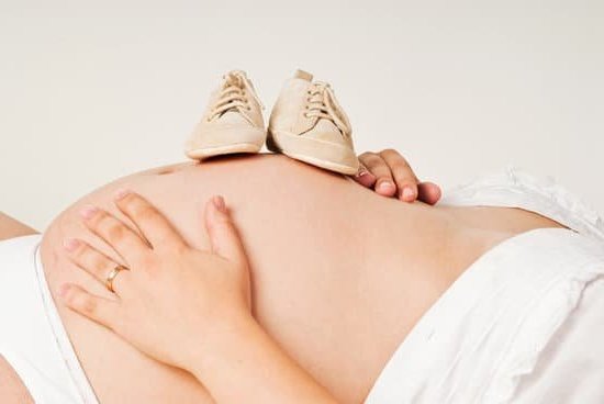 Image of a dog pregnancy test stick, a crucial tool for monitoring dog pregnancies