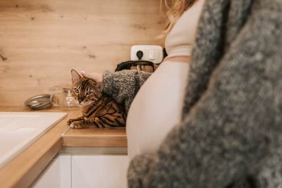 Managing GBS in Pregnancy: Testing, Treatment, and Prevention