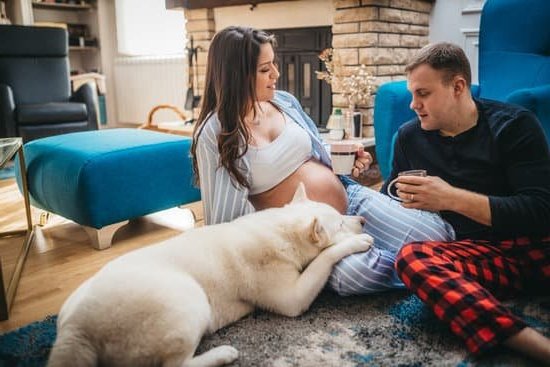 Best Pregnancy Test: Accurate Home Pregnancy Test with Early Result, Easy to Use and Reliable