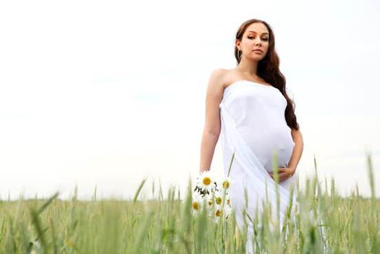 Pregnancy Trimesters Visual chart showing the progression of pregnancy trimesters and fetal development