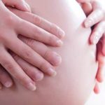 Dog Pregnancy Signs Week by Week A Helpful Guide
