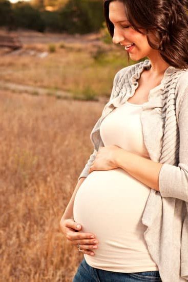 Pregnancy Chart Visual guide of fetal development stages and maternal health milestones