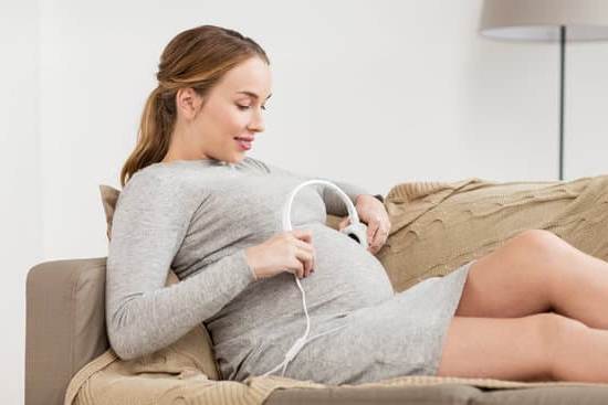 Can Dogs Sense Pregnancy Assessing Their Ability to Detect Changes in Scent and Behavior