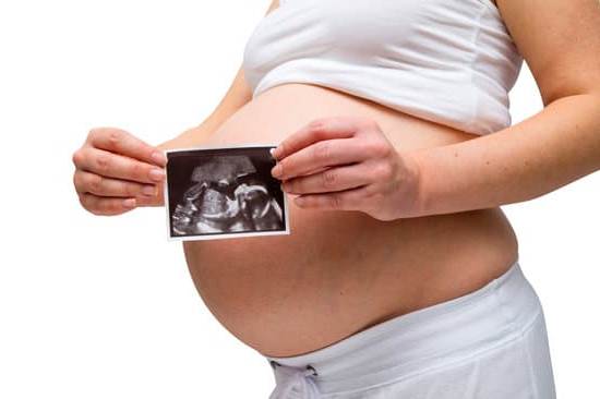 Explaining the process of what is pregnancy step by step