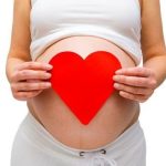 Discover how soon can cats sense pregnancy to understand their mysterious sixth sense