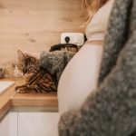 Can I Eat Breakfast Before Pregnancy Glucose Test Consider low-sugar options like eggs or yogurt before pregnancy glucose test