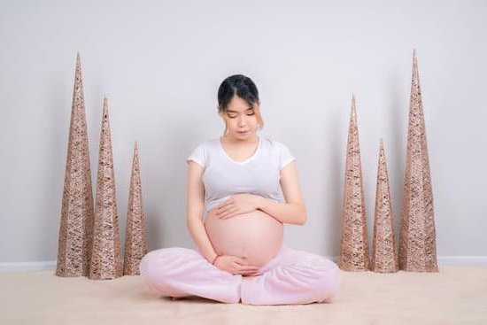 Can Dogs Smell Pregnancy Unseen bond between dogs and expectant mothers revealed
